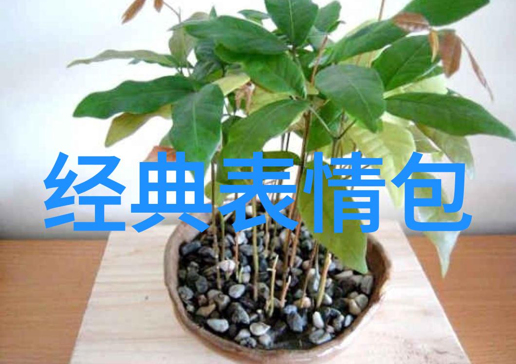 文字魔法如何用手机App创作出精美的文字图片