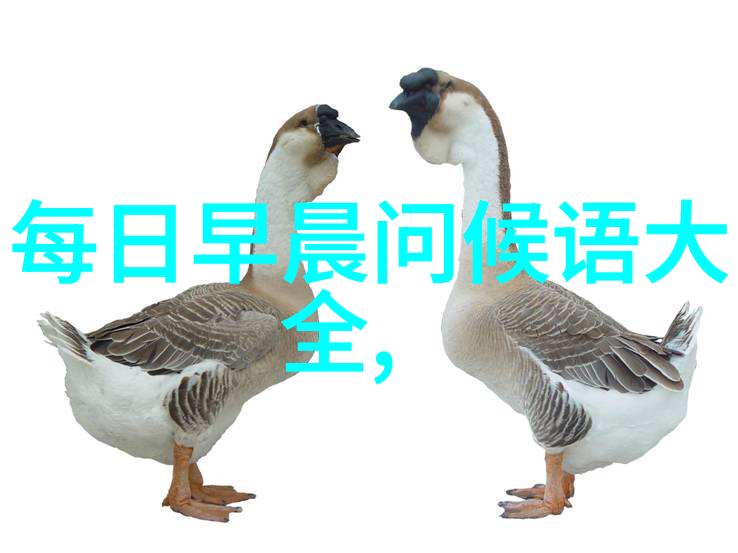 字书奇观-十难写字探秘解锁汉字深邃之谜