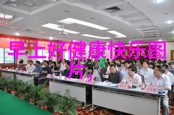 苗族传统节日花灯盛会的回响