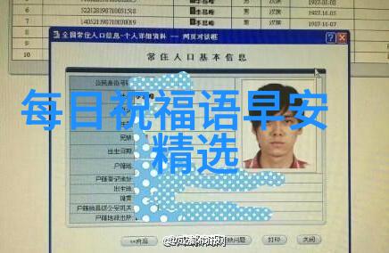 我的岳父会武术电视剧开播