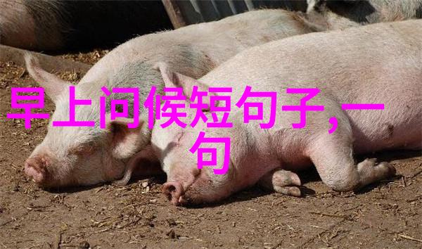 深夜微信群的隐秘邀请2021年免费进群现象学探究