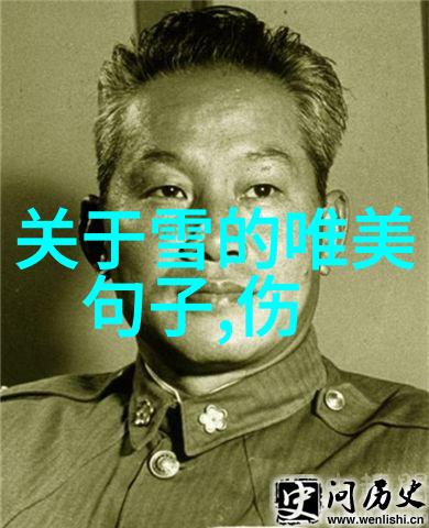 无与伦比的美丽刘亦菲陈晓梦华录电视剧上映时间及结局介绍在社会热议中