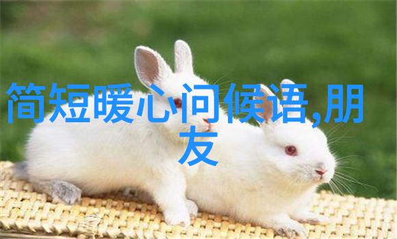 大气又低调的微信名字文艺青年QQ网名推荐