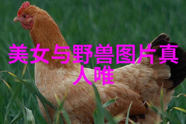 古风霸气侧漏的物品昵称(优选135个)