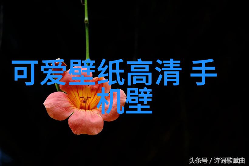 关于网红现象的分析苏乞儿这位网红如同夜空中的流星璀璨一闪而过他的个人简历如同遥远星辰引人深思