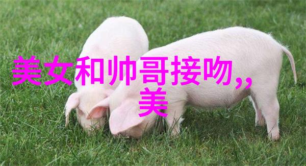 爱情启示录看似不可能的美女与帅哥恋爱秘诀