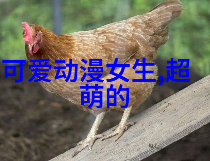 恐怖电影的阴影因过于惊悚被取缔的作品
