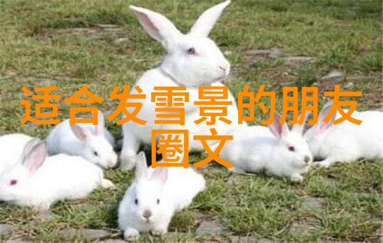 字体探秘无缝连接过去与未来