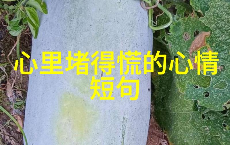扫码加入QQ聊天群二维码的社交便捷