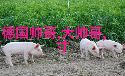 网络上最受欢迎的五个小可愛動畫女孩為何讓人著迷