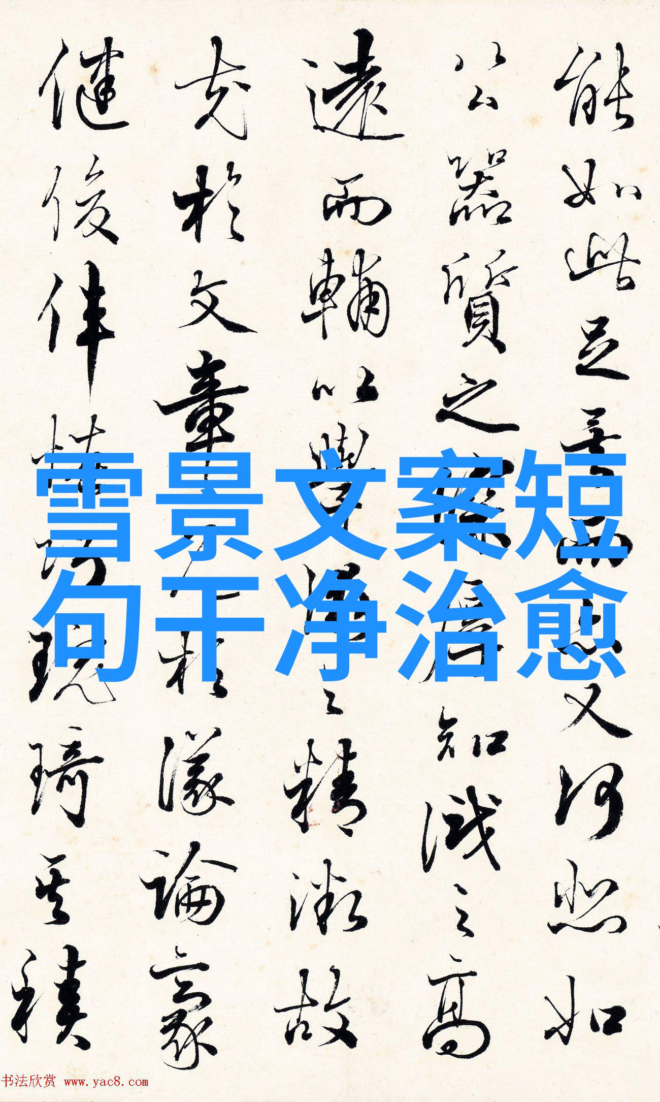 晨曦中的秘密花园早安暖心话的背后