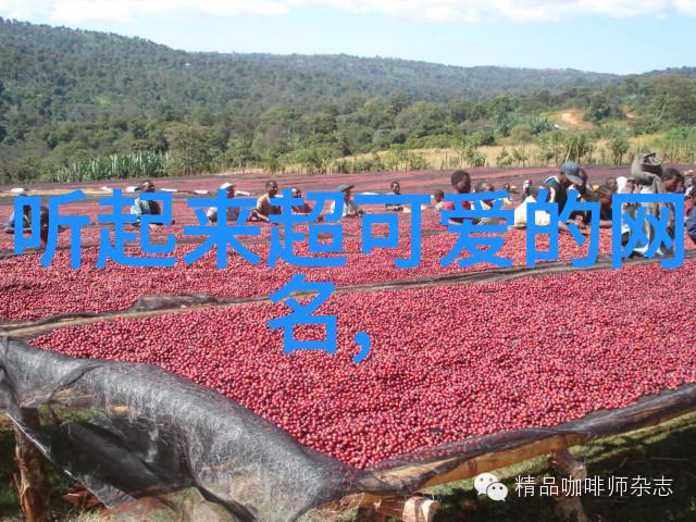 免费网站奖励自己qq群二维码我是不是也能找到点好处呀