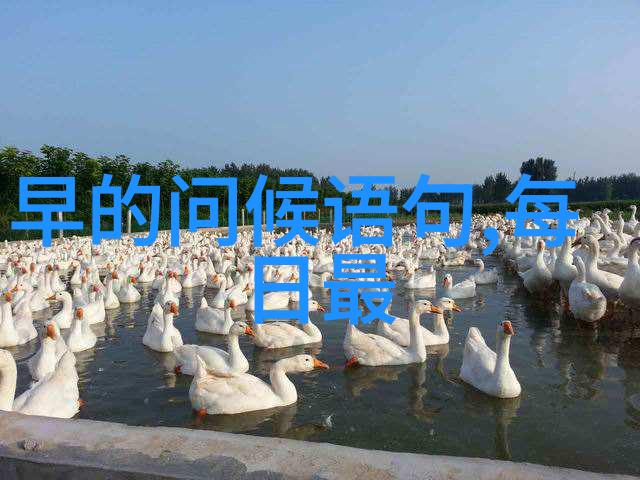 这些鬼图能否让你夜不能寐