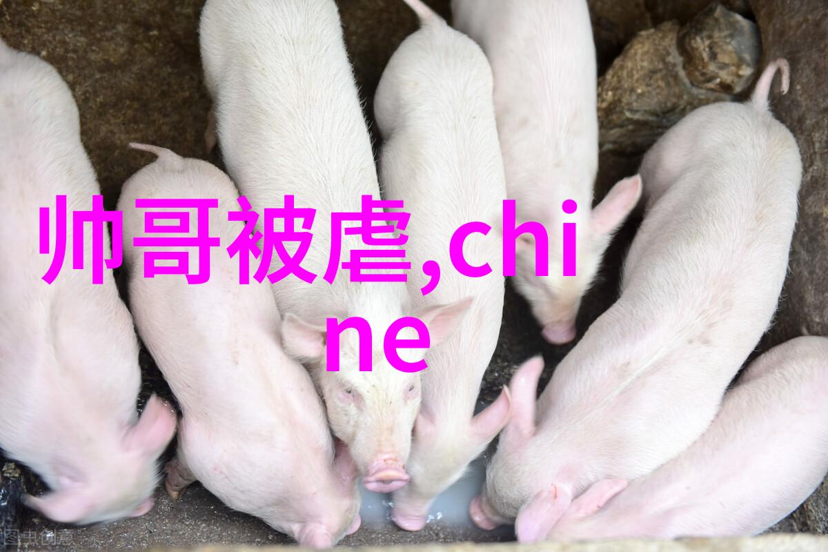 夏日的盛宴七月七的传统与现代交响曲