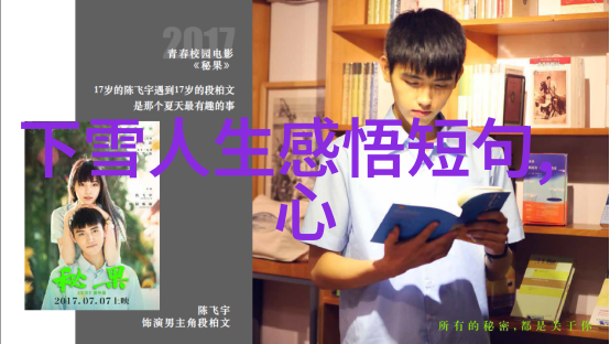 为祖国之崛起而穿书中国梦的奇幻旅程