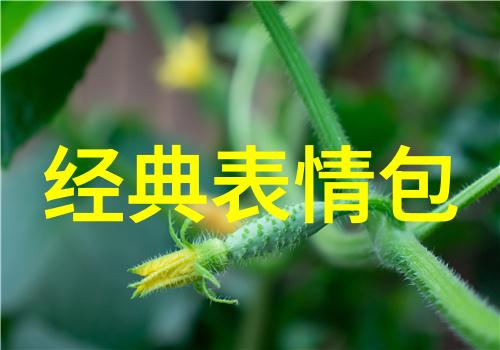 陈乔恩现身北京善行者站点为队员分发免费好看图片2023助力自然探险
