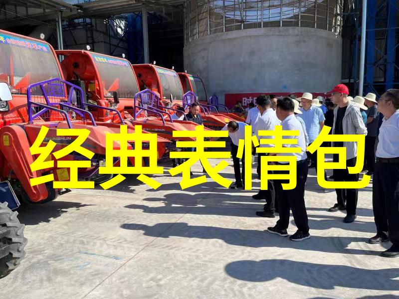 一本之道高清视频全集观看指南