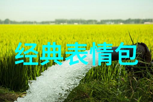 探秘日文特殊字体 亻 字体艺术的魅力与应用