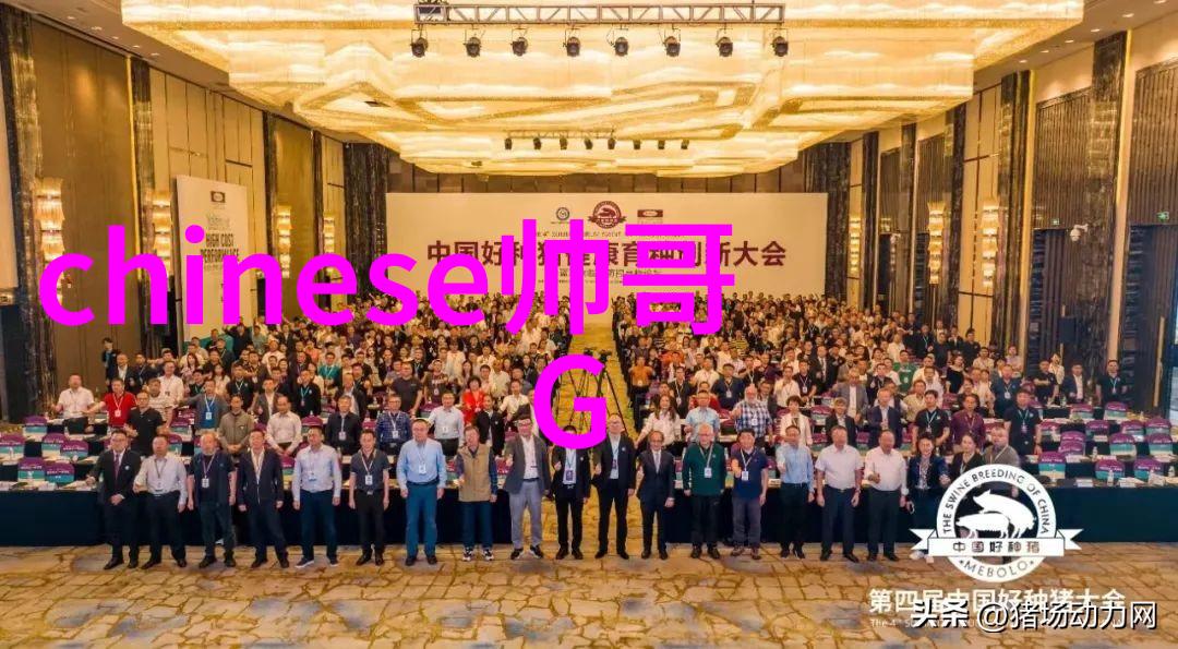 时尚美女的贵气与常人之别在社会的舞台上展现独特风范