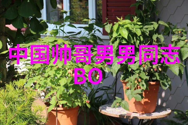 逆袭财运2023年微信名飞跃星空