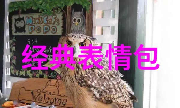 探索忘忧草的魔法最新中文字幕全集解析