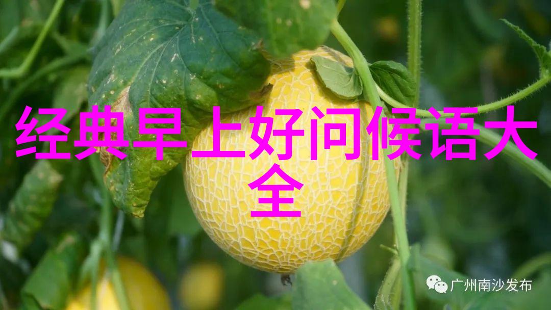 NCT 道在廷以新曲Perfume展现感性小学生最火的三首歌在全世界吸引了无数人的魅力音乐无伴奏合唱