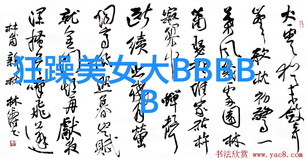 庆典的盛宴我国传统节日文化的丰富魅力
