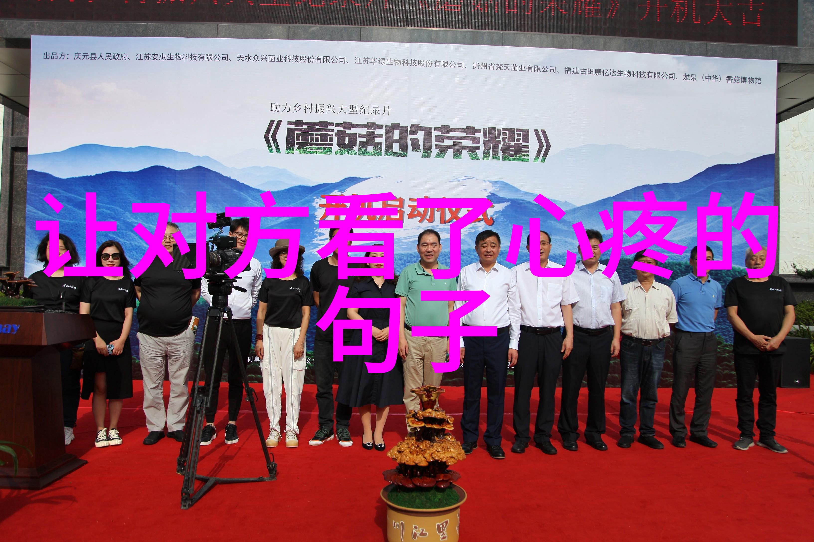 简笔画大师的灵感来源深入了解卡通风格