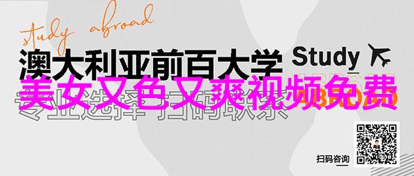 下雪的唯美短句我眼前飘落的是冬天最温柔的画面