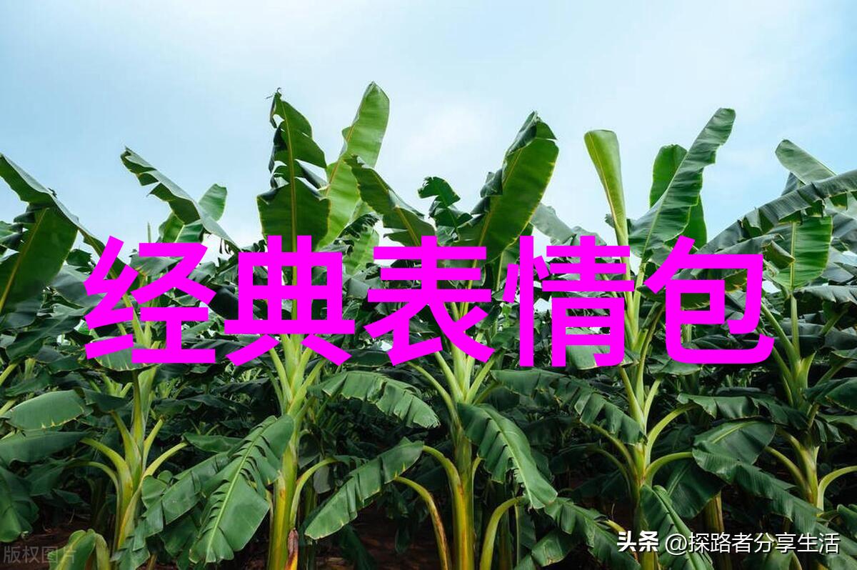 值得看的十大鬼片-探秘影院揭秘那些难忘的恐怖经典