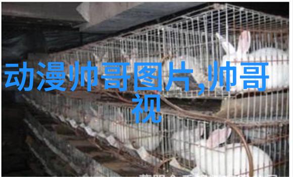 古风男神之名诗意绕口的男子名字精选干净文艺网名女心头好