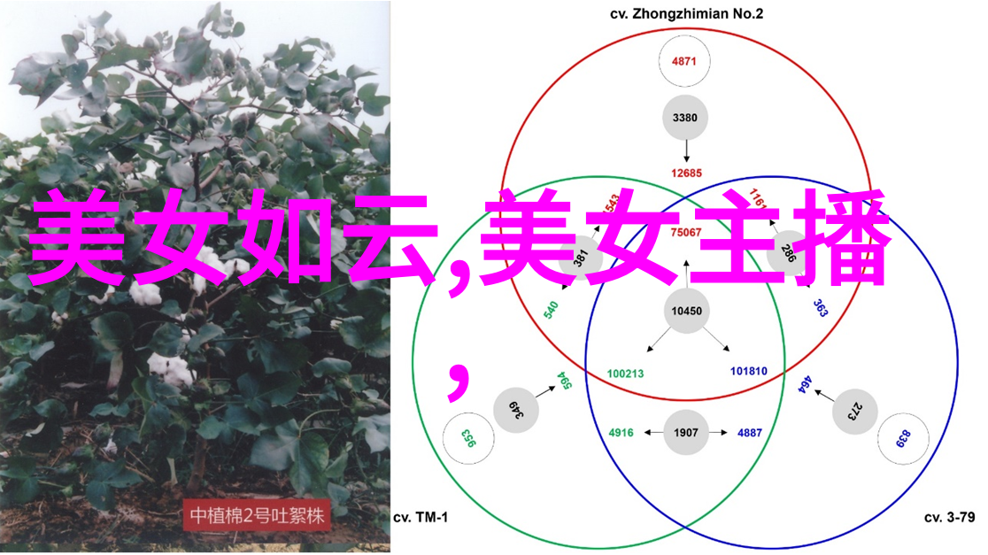 探索美女与野兽的视觉奇遇全息图片之旅