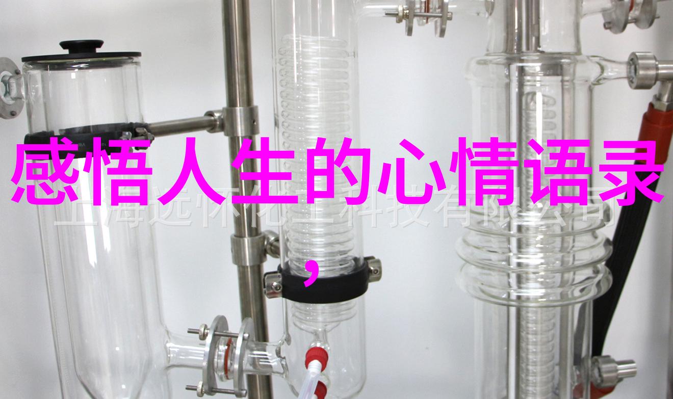 跨越边界的心跳国际合作项目中的优秀韩国女性代表