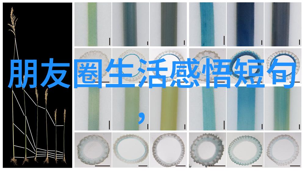 可爱动漫头像女生萌版-甜蜜画卷探索萌宠少女动漫文化的魅力