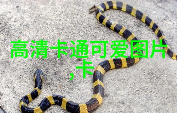人物如何训练猎水獭犬站立了解十大最认主的狗狗