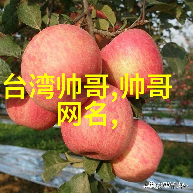 快乐早晨带来幸福与健康早间祝福的力量
