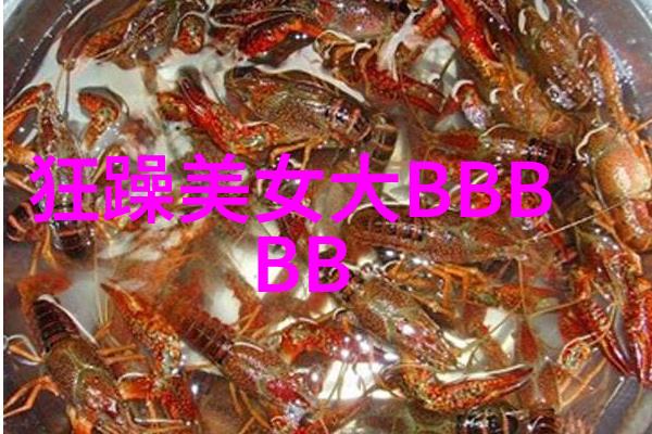尹正在中餐厅6练就新技能与顾客真诚交流温暖窝心综艺娱乐八卦场景物品展示区尹正穿着整洁的厨师装微笑着和