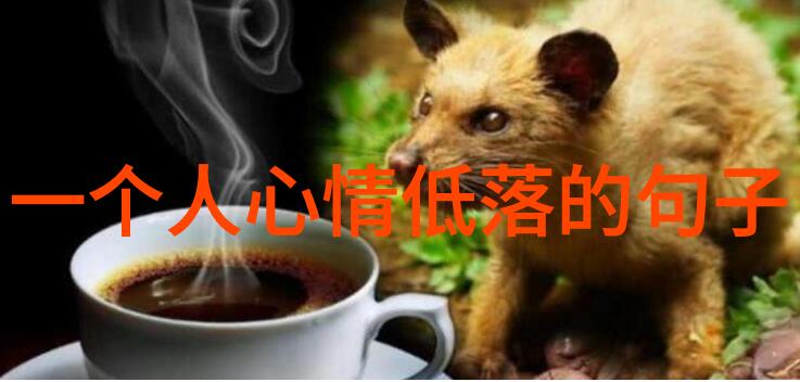 图像转文字神器免费软件助力智能生活