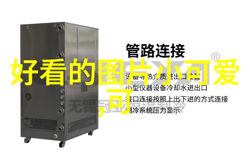 明星帅哥魅力红毯上的风采与日常生活中的自然美