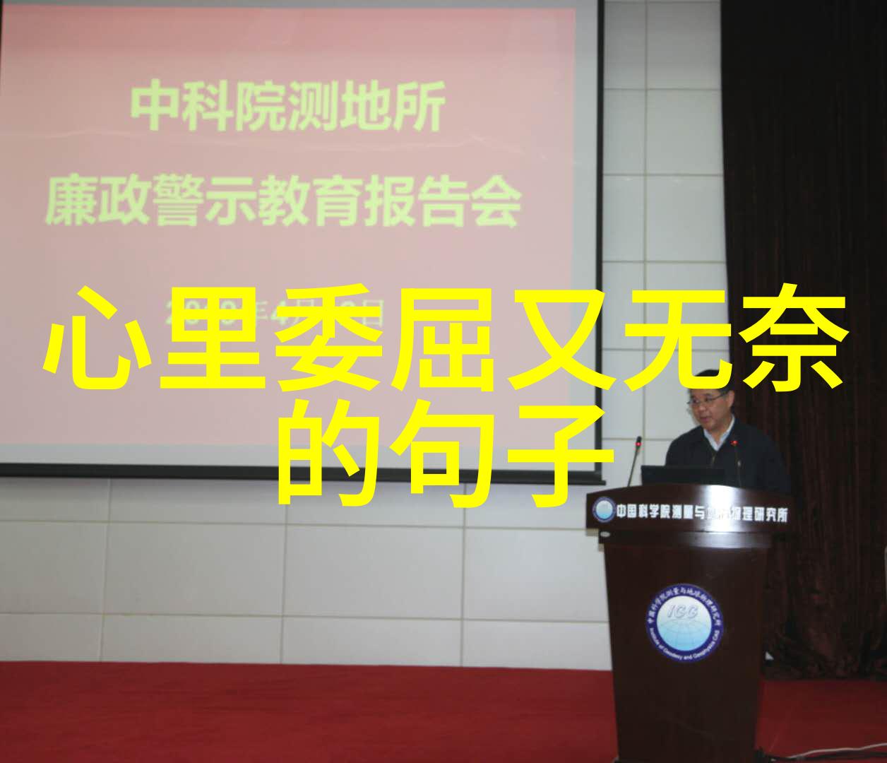 风华正茂的蝶恋台湾佬中文娱乐之美