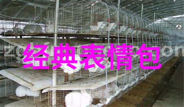 萌探探探案解锁欢乐颂IP杨紫蒋欣乔欣再现姐妹情体验我们的美好生活综艺免费观看