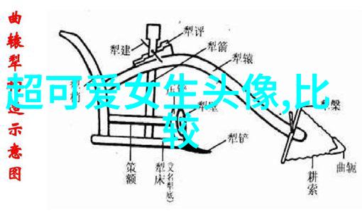 恒大四大美女的魅力与光芒