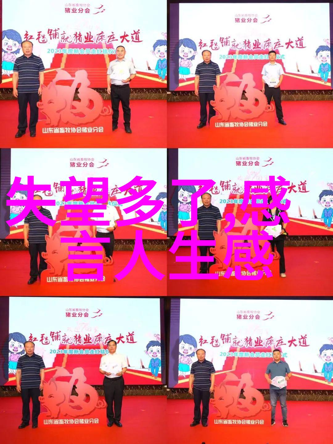 OOPS新花样携手陶虹蒋雯丽钟丽缇等中生代女星引领复古时尚网上很火的可爱图片纷飞犹如双凤对舞美轮美奂
