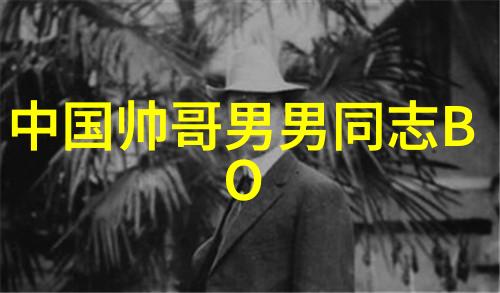 红毯上的光芒明星照片的魅力与秘密