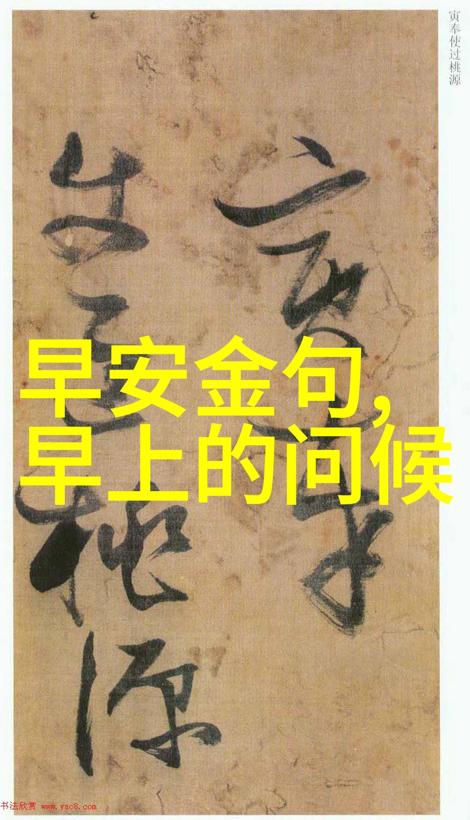美丽的数字揭秘美女131背后的故事