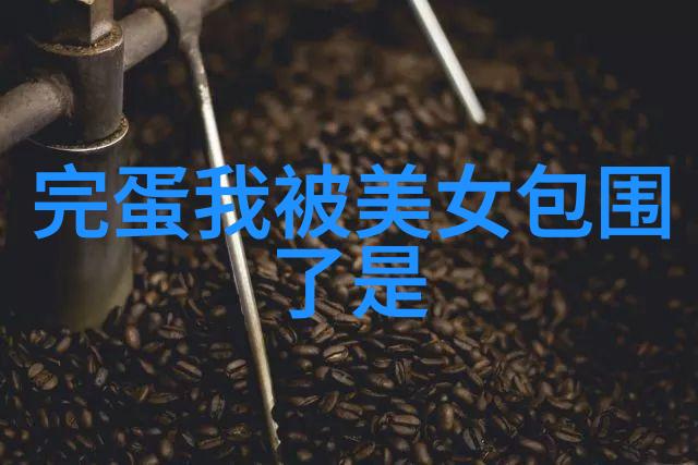 春日小径上的秘密花园老师的兔子与温柔的软件之旅