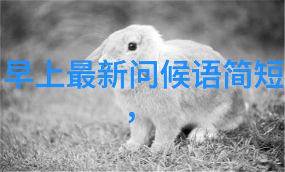 文字我是如何在一篇文章中用逆字让读者心动的