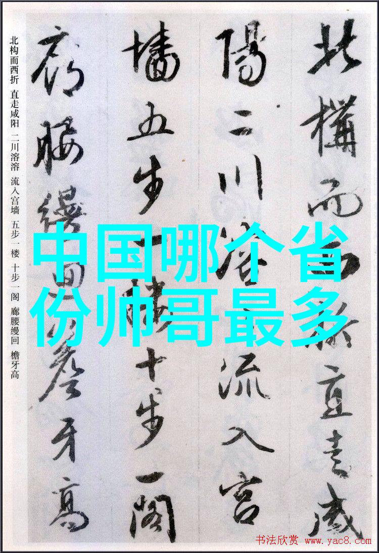江湖风云武打明星的光芒与挑战