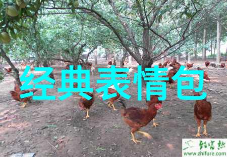 追逐极限快车速动漫的故事篇