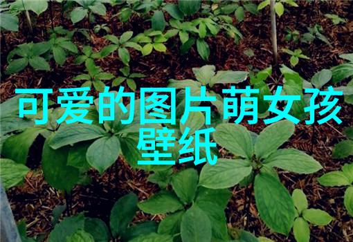 俄罗斯美女我遇见的那位神秘而迷人的外国女子